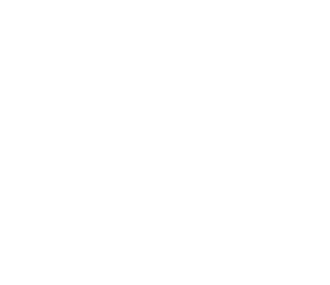 ISO9001CERTIBLANCO2